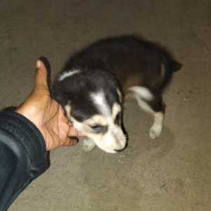 Untitled design (13)