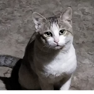 Untitled design (14)