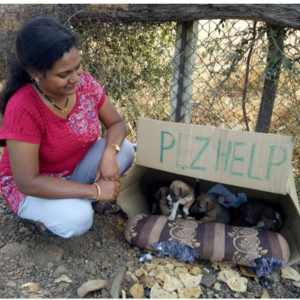 Untitled design (16)