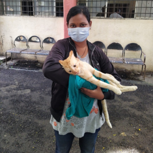 Untitled design (21)