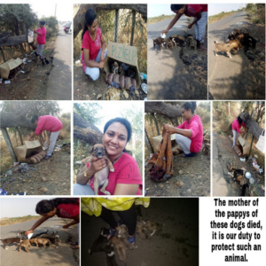 Untitled design (22)