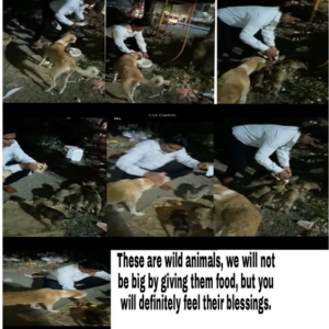 Untitled design (23)