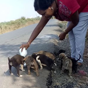 Untitled design (24)